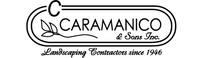 Logo | Carmanico & Sons | 416 px / 120 px | Black