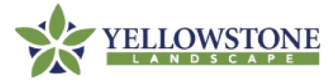 Logo | Yellowstone Landscape | 481 px / 120 px | Color